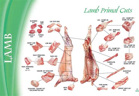 Sheep Cuts Of Meat Chart - Lamb Cuts & Cooking Methods | for the love of lamb™ - The spruce ...