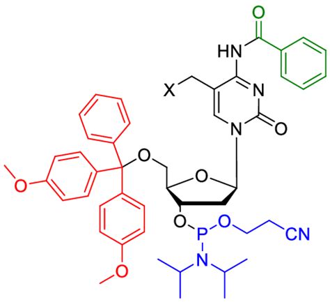 General structure of a protected 2'-deoxycytidine nucleoside analogue ...