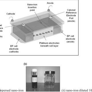 Schematic of electrostriction phenomenon in a dielectric material ...