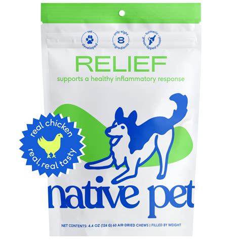 What Can I Give My Dog For Anti Inflammatory