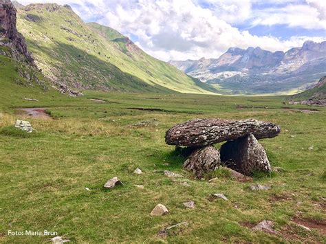 Ruta Selva De Oza Aguas Tuertas Birding Pirineos Ornitologia En