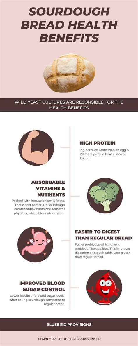 Sourdough Bread Health Benefits Explained