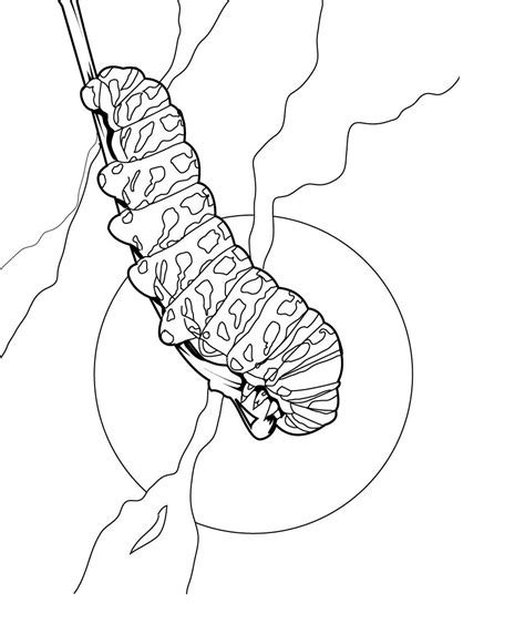 Free Printable Caterpillar Coloring Pages For Kids | Animal Place