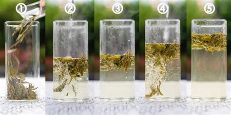 How to Brew Green Tea Correctly - Step by Step with Pictures – iTeaworld