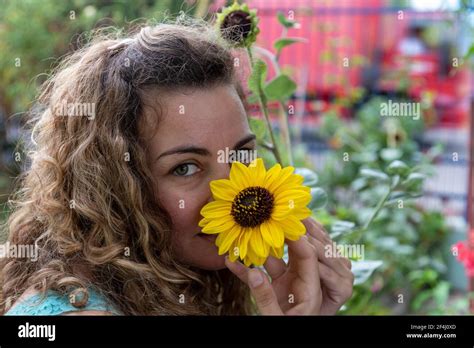 Blonde Woman Posing For Photo With Flower Of Sunflower Brazilian In The Garden Of The House