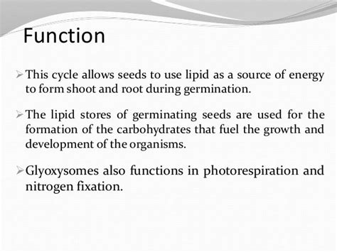 Glyoxysomes[1]