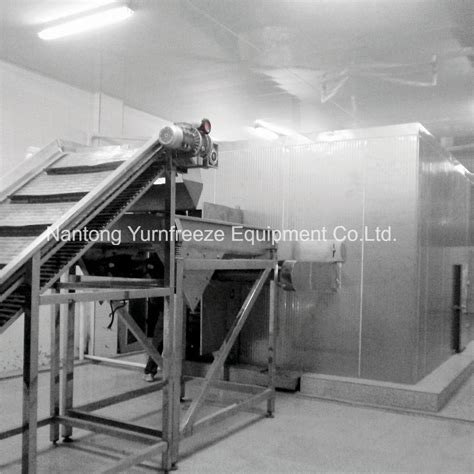 Iqf Quick Freezing Machine Flow Tunnel Bed Fluidized Freezer For Fruit