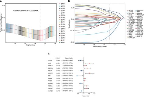 Frontiers Network Pharmacology And Bioinformatics Analysis Identifies