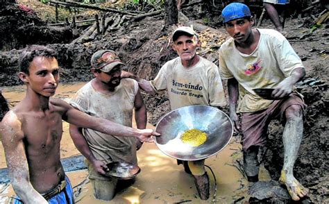 Presidente De Cooperativa Dos Garimpeiros Destaca Import Ncia Do