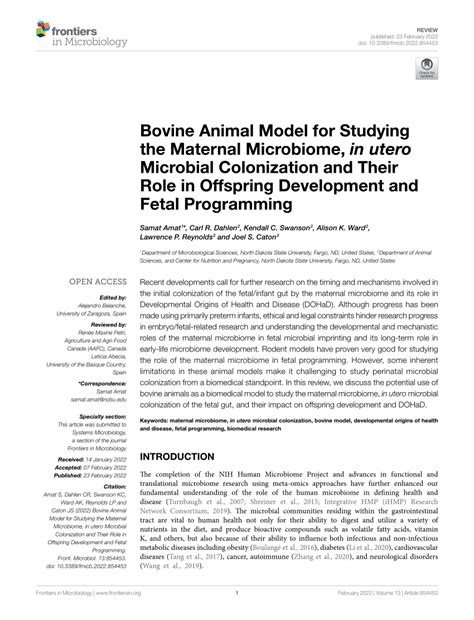 Pdf Bovine Animal Model For Studying The Maternal Microbiome In