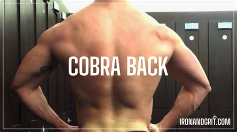 How To Build A Cobra Back Full Workout Iron And Grit Fitness