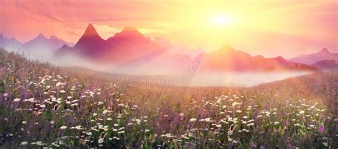 Mountain ranges of Ukraine stock image. Image of floral - 44871327