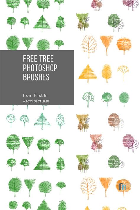 Tree Photoshop Brushes Are Shown In Different Colors And Sizes With