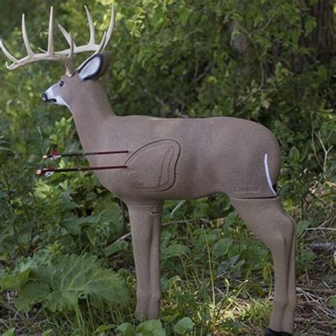 archery targets   essential guide