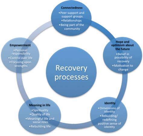 Conceptual Framework For Personal Recovery In Mental Health Among