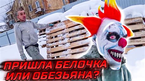 Пришла белочка?Продолжаем укладку плитки на теплый пол. - YouTube