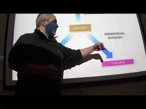 Microbiologia Clase Nutricion Y Cultivo UDLA 2017 YouTube