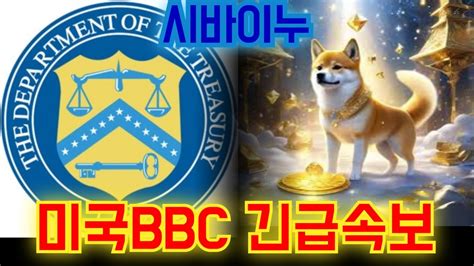 시바이누 Shib 美bbc긴급속보 1000배 상승 코인 유출 시바이누전망 시바이누호재 Youtube