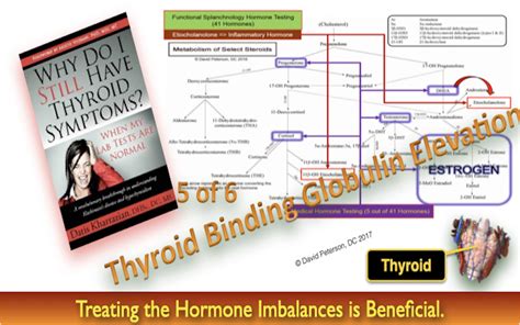 Thyroid Sex Hormone Binding Globulin Elevation Hyrself Functional