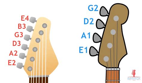 Bass Vs Guitar Every Difference Explained Infograph Bassox