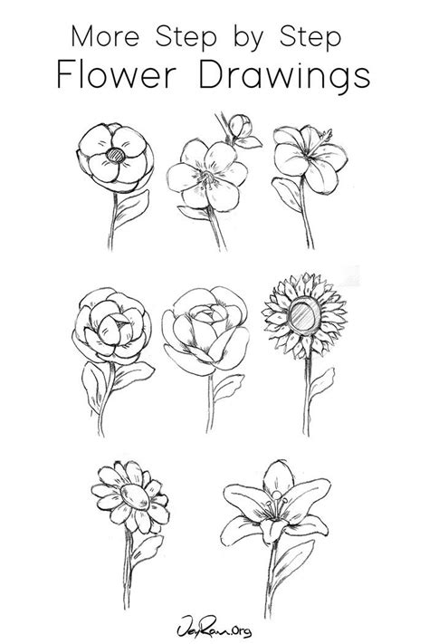 Sketches Of Flowers For Beginners