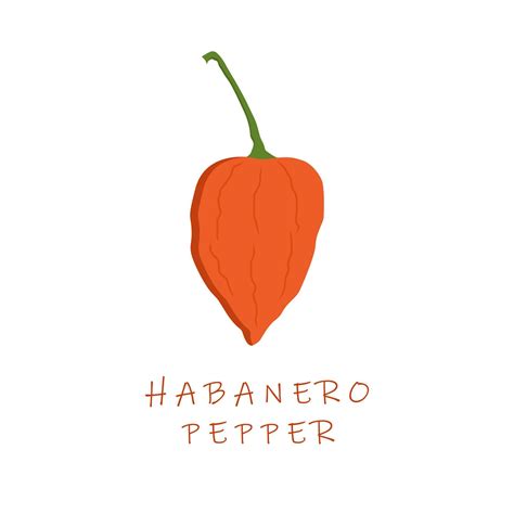 Habanero Pepper Flat Design Vector Illustration Capsicum Chinense