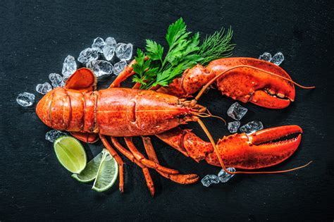 Differences Between Lobster Vs Crab To Enhance Your Seafood Knowledge