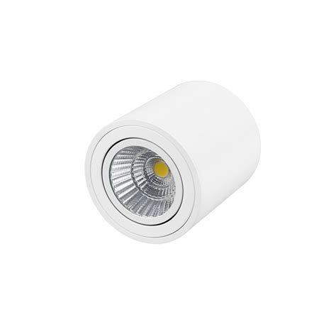 W W Cree Cob Surface Mounted Led Downlight China Surface Mounted