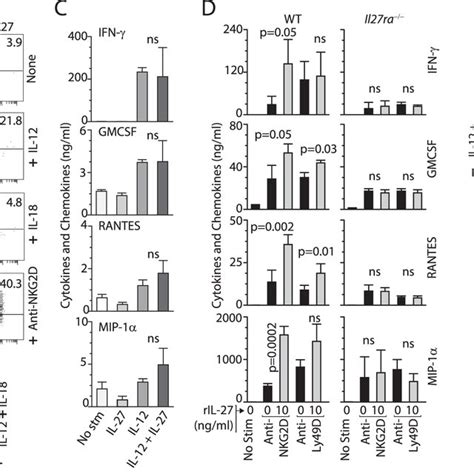 IL 27 Regulates NKG2D And Ly49D Mediated Effector Functions Of NK