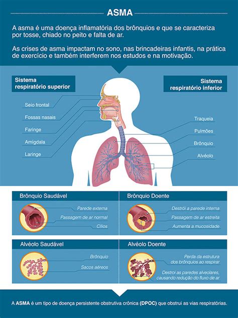 Infográfico sobre doenças respiratórias Behance