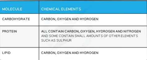 Biological Molecules Flashcards Quizlet