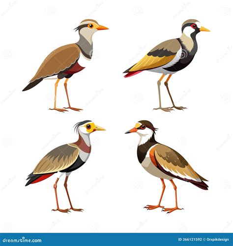 Red-wattled Lapwing (Vanellus Vanellus) AI Generated Animal Ai Royalty