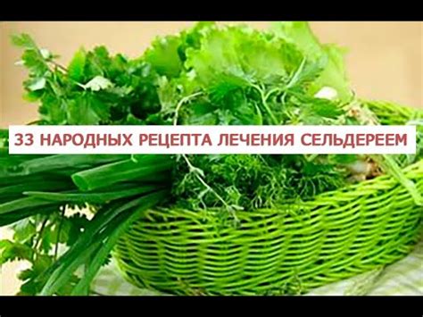 33 народных рецепта лечения сельдереем сельдерейный чай сок сельдерея ...