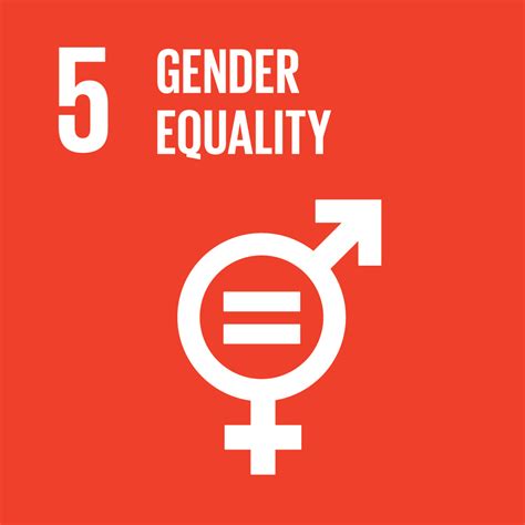 5 Gender Equality Un Sustainable Development Goals Open Pedagogy