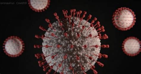 COVID NELL PROVINCIA DI LATINA I CASI TORNANO AD AUMENTARE I DECESSI Latina TU