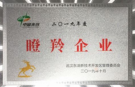 武汉卓目科技有限公司