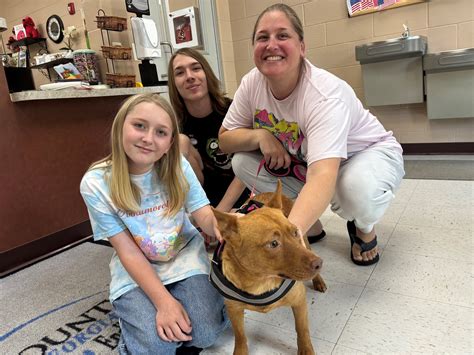 columbia county animal shelter 3