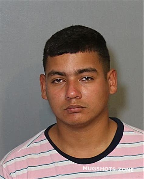 Gonzalez Revilla Andres 03082023 Osceola County Mugshots Zone