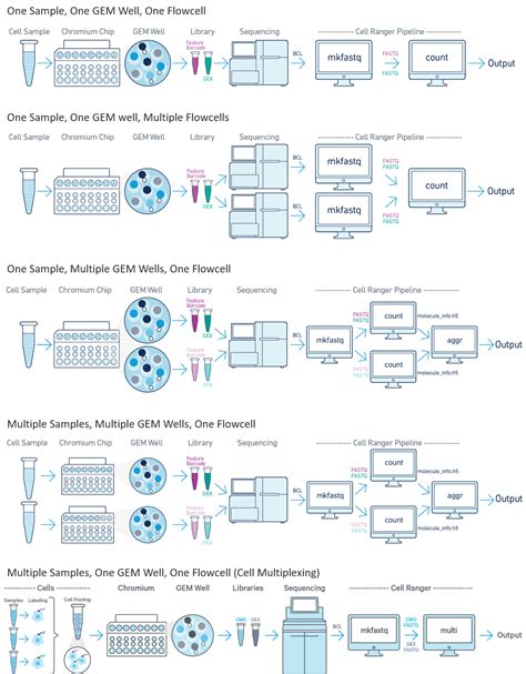 Chapter 2 Pre Processing And QC Fundamentals Of ScRNASeq Analysis