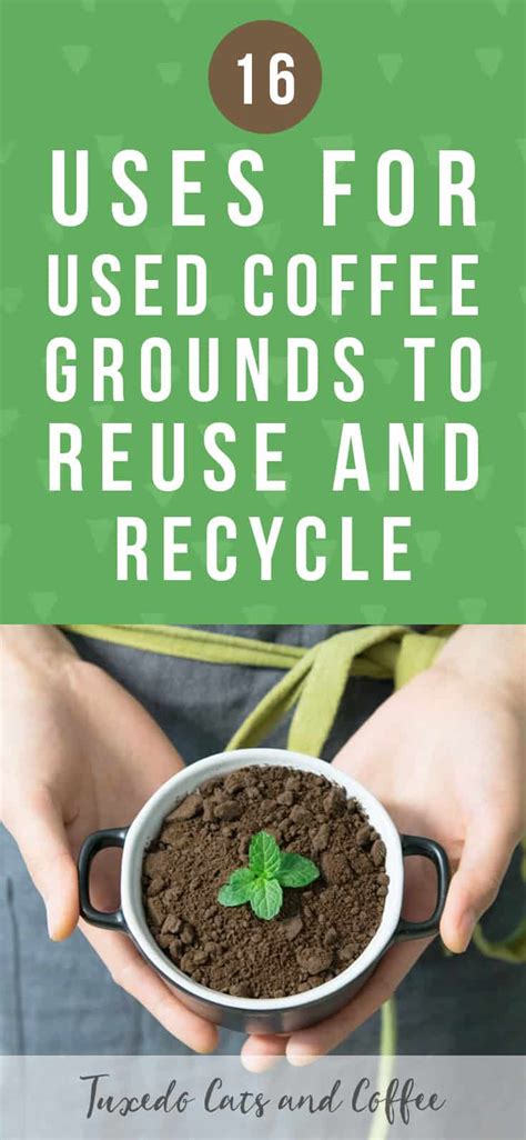 Uses For Used Coffee Grounds And Coffee Filters To Reuse And Recycle