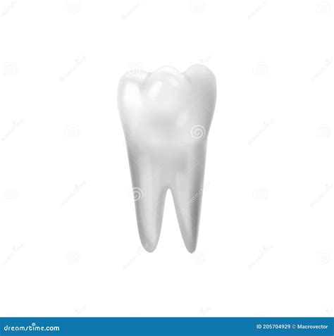 tooth  root composition stock vector illustration  crown