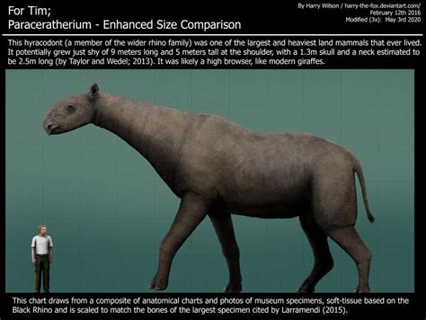 Enhanced Size Comparison of Paraceratherium