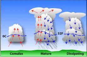 Thunderstorm Life Cycle Diagram | Quizlet