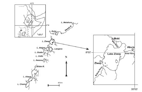 Map of Lake Ziway (adapted from Deribe et al., 2013) | Download ...