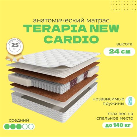 Матрас Мир Матрасов Аскона Terapia New Cardio, Независимые пружины, 160 ...