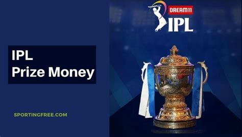 IPL 2024 Prize Money How Much IPL Winner Runner Up Will Earn