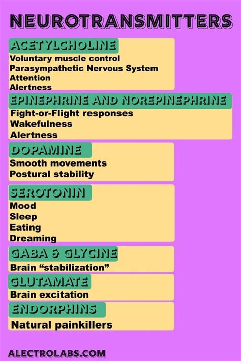 The 7 Most Important Neurotransmitters Neurotransmitters How To