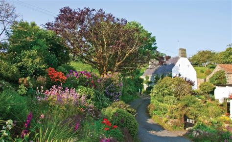 Wild Flowers of Guernsey | Visit with Condor Ferries