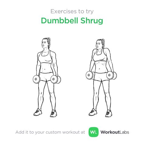 Dumbbell Shrug Exercise