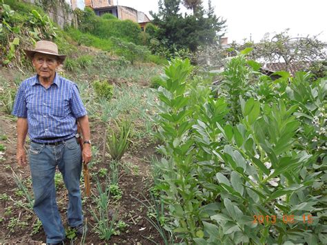 Escuela De Agricultura EcolÓgica Con Énfasis En Asociatividad Junio 2013